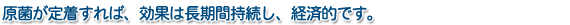 �C�ݗ{�B��A�A�T���E�V�W�~�{�B��A�_�Ɨ��ߒr�A�͐�A�h�u��Ȃǂ̈��L��L�Q�ȕ����Ȃǂ𕪉����܂�