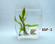 �g�p��