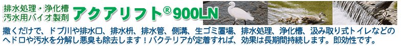 �r���ǂ⑤�a�A���H�A�h�u��ɓ��������L���������w�h���𕪉����܂��B