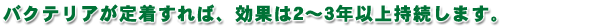 �o�N�e���A���蒅����΁A2�`3�N�ȏ�̒����Ԃɂ킽����ʂ��������܂��B