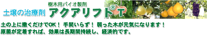 �����Ƃ̕��̎��؁E�Ö؂Ȃǂ̎����{���Ɏs�����̎w�薼�؂���뉀�E�����̐A�؂Ȃǂ�