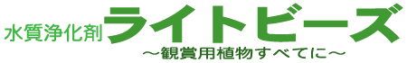 �����򉻍܃��C�g�r�[�Y