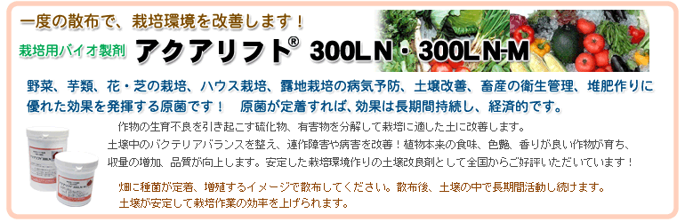 �y�뒆�̃o�N�e���A�o�����X�𐮂��A�a�Q�ɋ����A���{���̐����̂���A���̒���A�H���A�F���A���肪�ǂ��������̗ǂ��앨���炿�܂��B