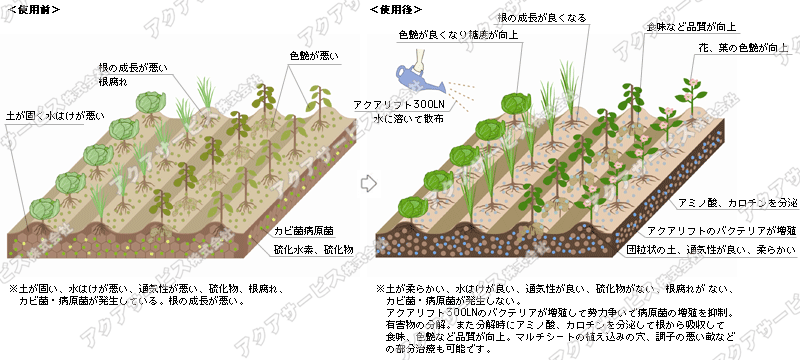 アカダマちゃん監修】barrel e26 植物育成ライト led