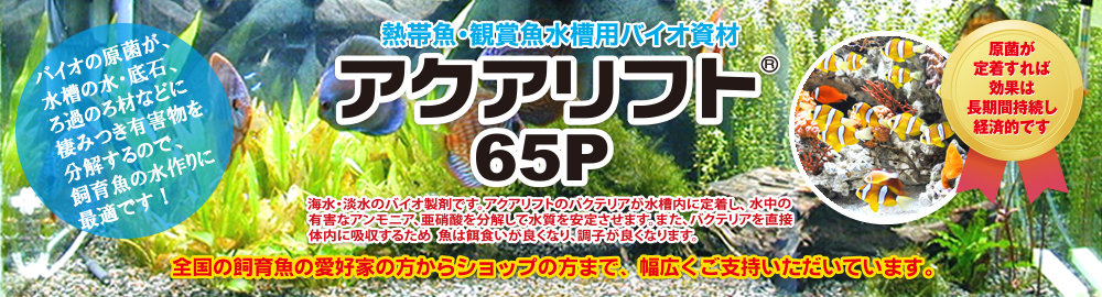 アクアリフト65p 公式サイト 熱帯魚 観賞魚水槽用バイオ製剤 水槽 の立ち上げ時の水作りに最適です 熱帯魚 海水魚 淡水魚 金魚 メダカ エビ サンゴ 水草 イソギンチャク カメなど すべての水棲生物に適応します