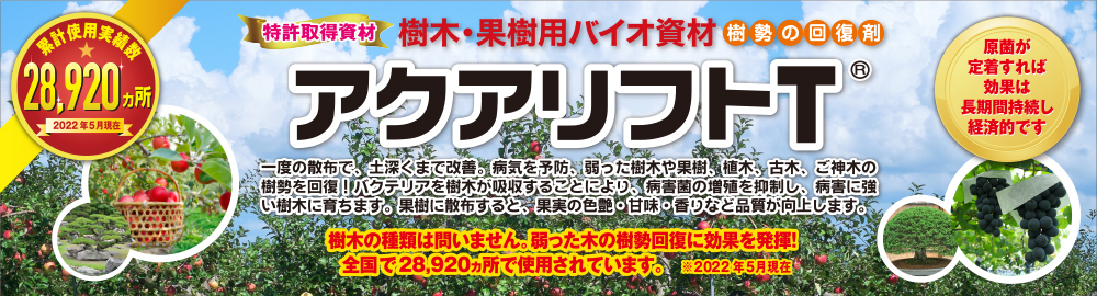 密集した固い土からやわらかい通気性の良い土へ改善します。樹勢を回復して病害に強く育ちます。