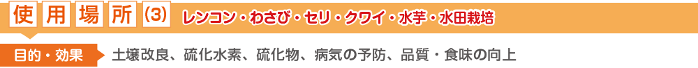 使用場所(3)：レンコン・ワサビ・セリ・クワイ・水芋・い草栽培【土壌改良、病気予防、食味・品質の向上】