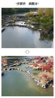 京都府　庭園池