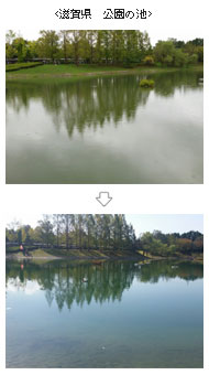 滋賀県　公園の池