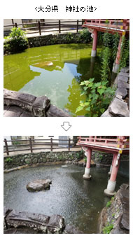 大分県　神社の池