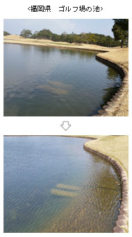 福岡県　ゴルフ場の池
