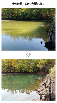 岐阜県　自然公園の池