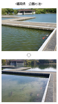 福岡県　公園の池