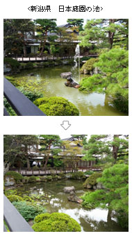 新潟県　日本庭園の池