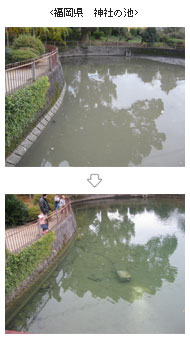 福岡県　神社の池