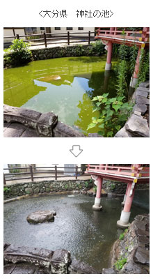 大分県　神社の池