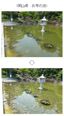 岡山県　お寺の池