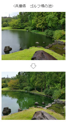 兵庫県　ゴルフ場の池