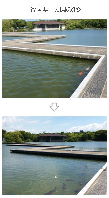 福岡県　公園の池