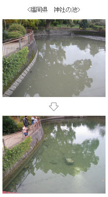 福岡県　神社の池