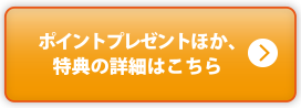 4つの特典