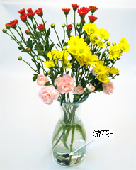 すべての美しい花の画像 トップ100花 花瓶 長持ち すべての美しい花の画像 トップ100花 花瓶 長持ち