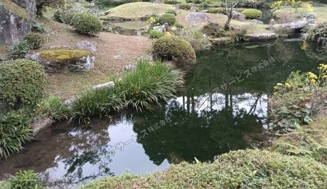 庭園池の藻類抑制