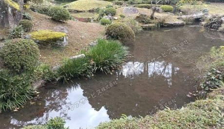 庭園池の藻類抑制
