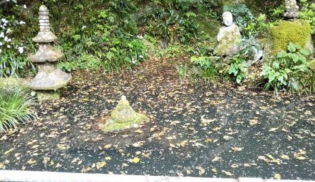 庭園池の油膜処理