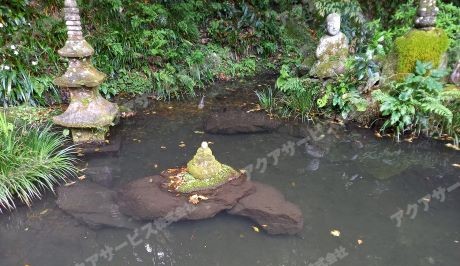 庭園池の油膜処理